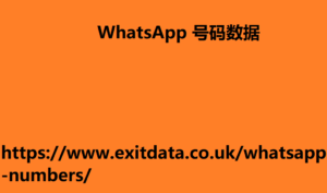 WhatsApp 号码