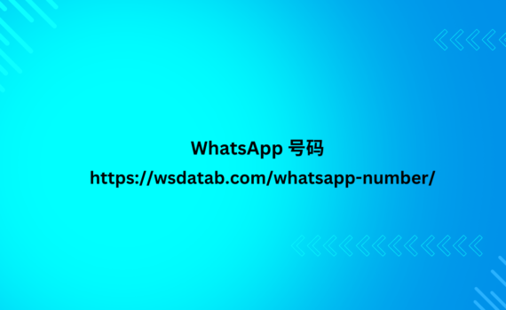 WhatsApp 号码