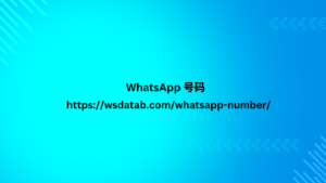 WhatsApp 号码