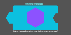 WhatsApp 号码列表