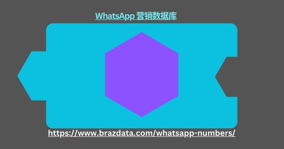 WhatsApp 营销数据库