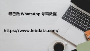 黎巴嫩 WhatsApp 号码数据