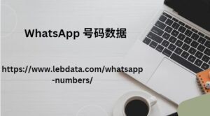 WhatsApp 号码数据