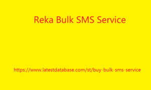 Reka Bulk SMS Service 4