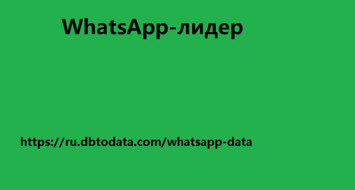 WhatsApp-лидер