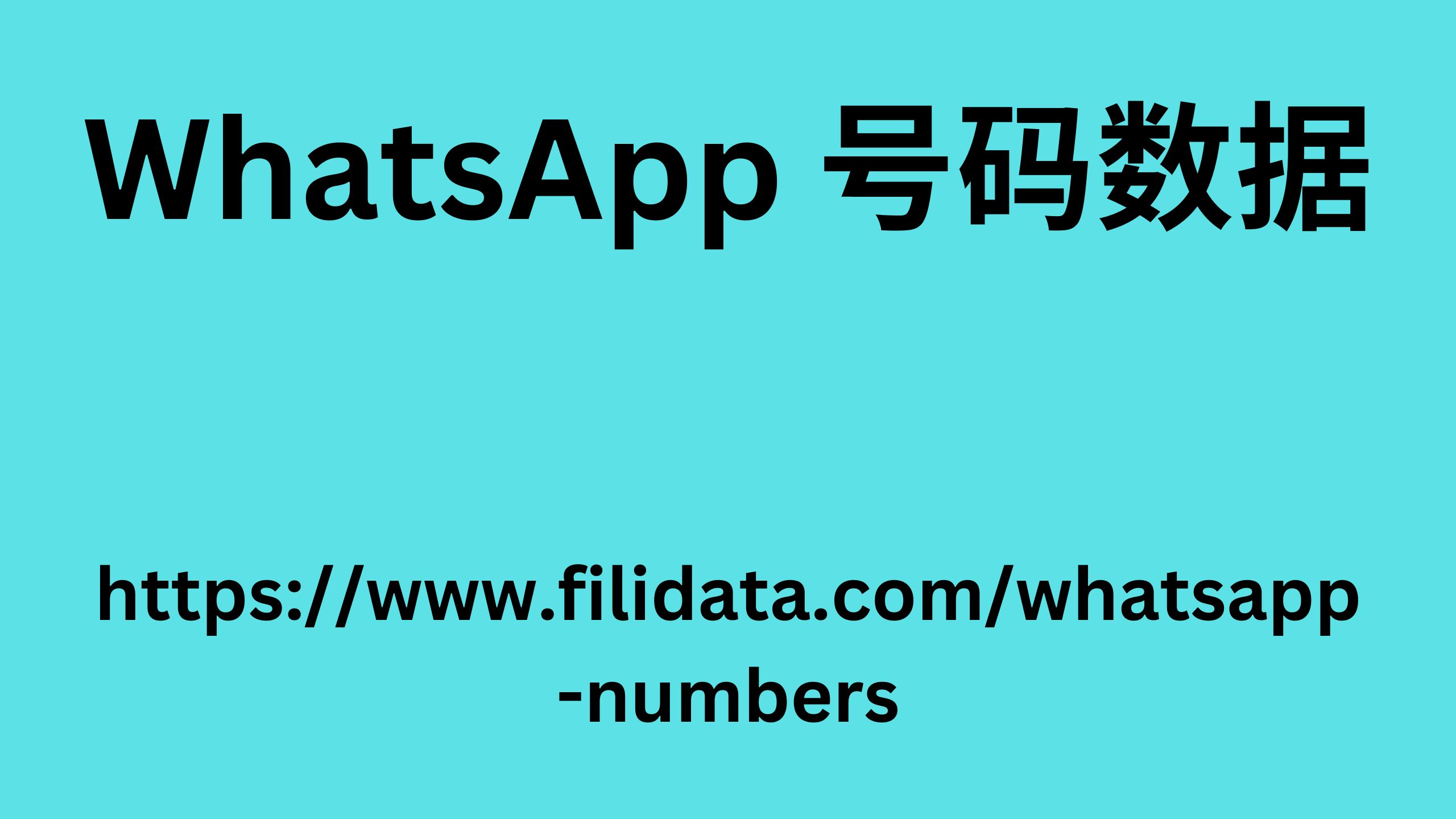 WhatsApp 号码数据