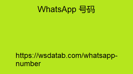 WhatsApp 号码