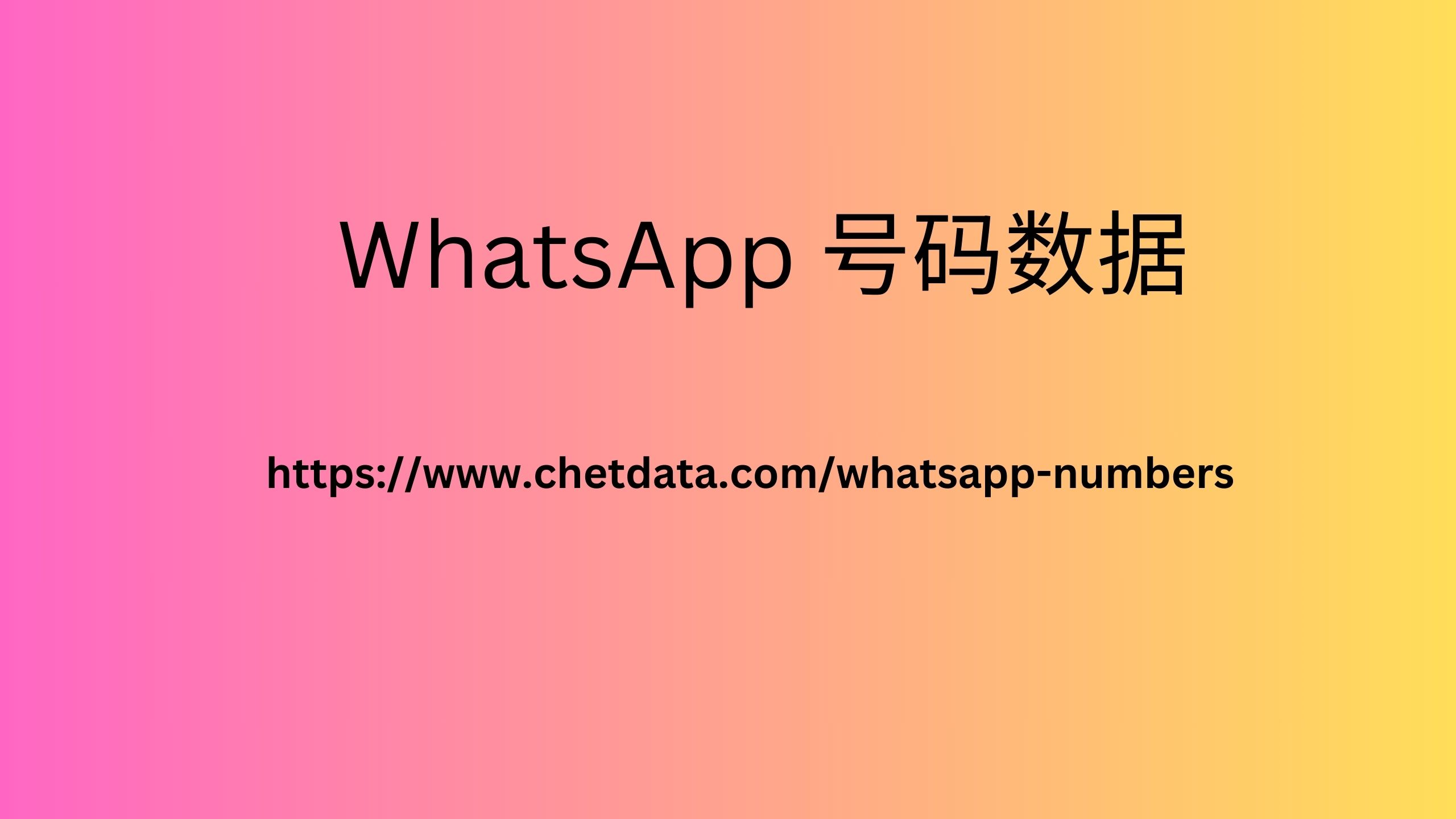 WhatsApp 号码数据