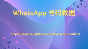 WhatsApp 号码数据