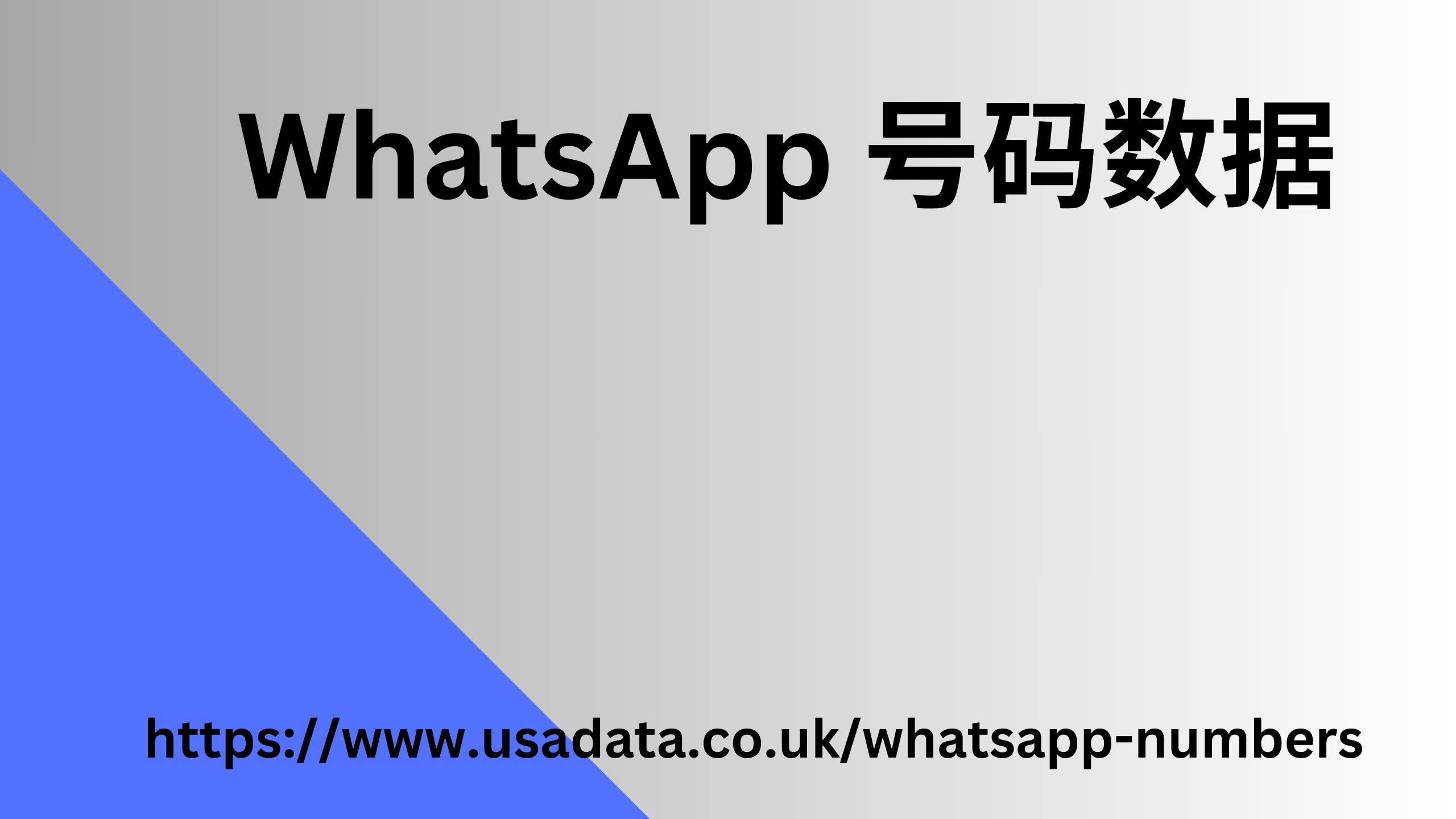 WhatsApp 号码数据